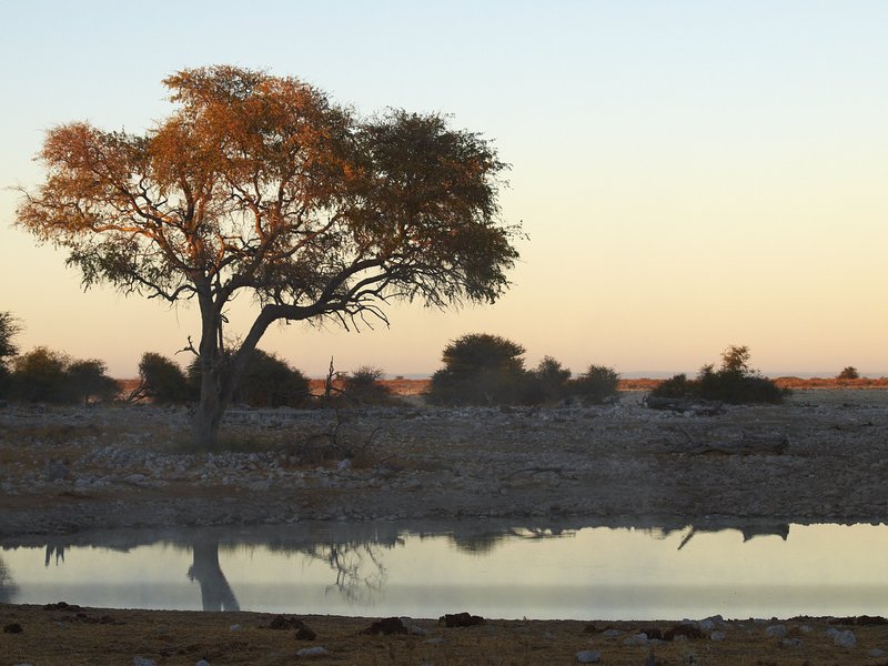 Etosha National Park, Okaukuejo